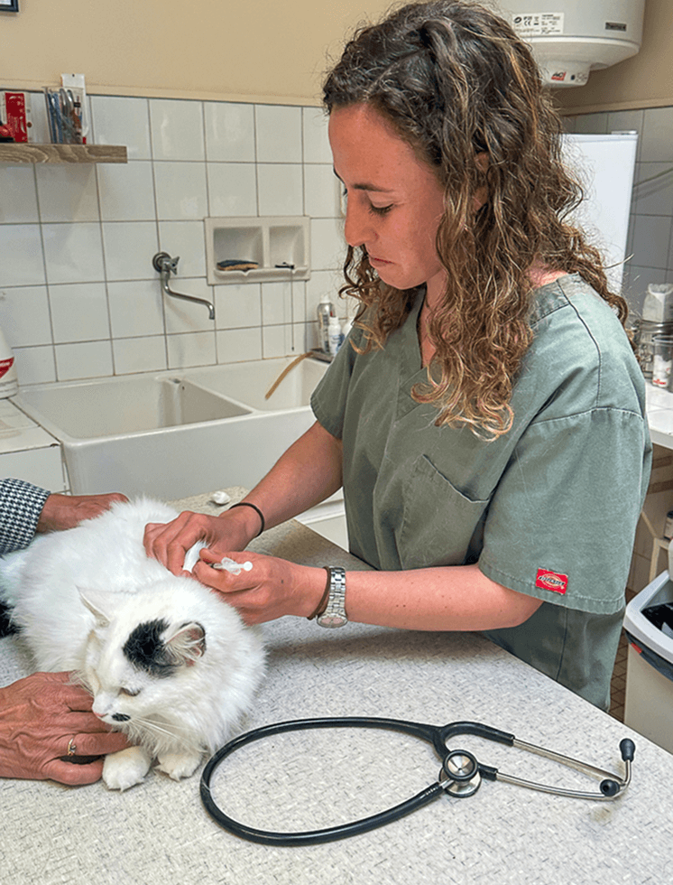 Home-services-1 Les services de médecine préventive proposés à La Clauvade