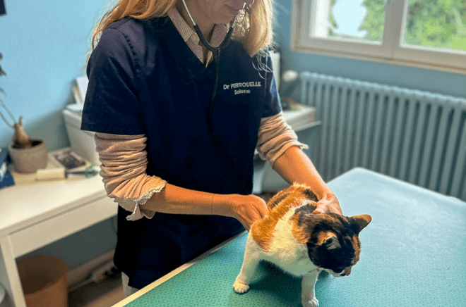 Médecine préventive vétérinaire